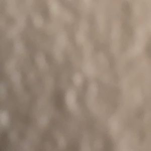 Meet your Posher, Aiden